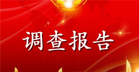 大学生社会实践调查报告总结