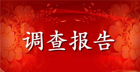 精选大学生兼职情况的社会调查报告模板