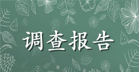 在校大学生兼职情况的社会调查报告精选