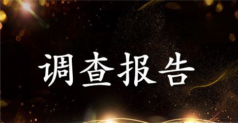 农村留守儿童的社会调查报告选