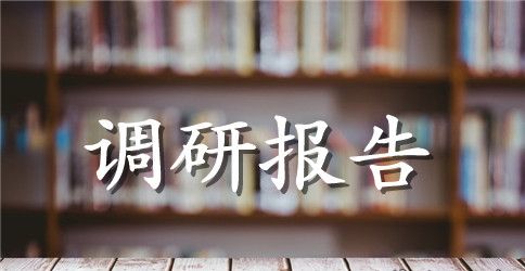 社会主义新农村建设的调研报告