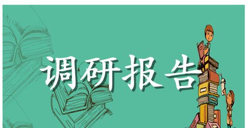 广场调研报告