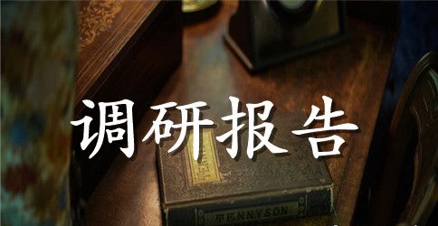 小学生的调研报告