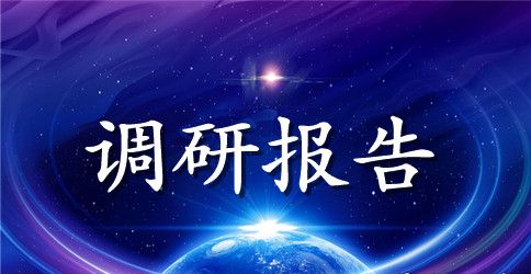 大学生的调研报告