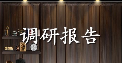 农村调研报告