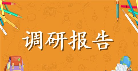 电子商务实训网络调研报告范文