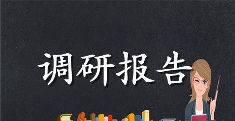 在校大学生打工的调研报告