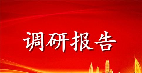 农村三资管理调研报告