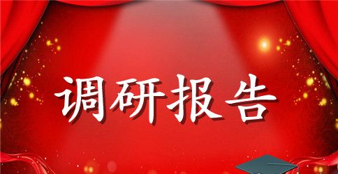 城市建设调研报告