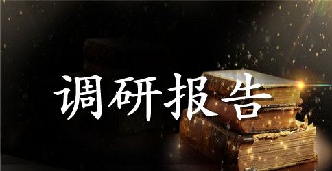 新时期基层妇女工作的调研报告范文