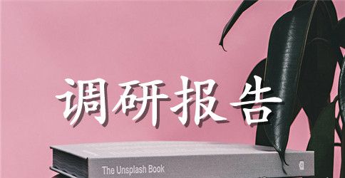 基层管理建设情况调研报告