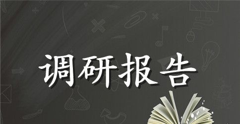 毕业实习调研报告范文