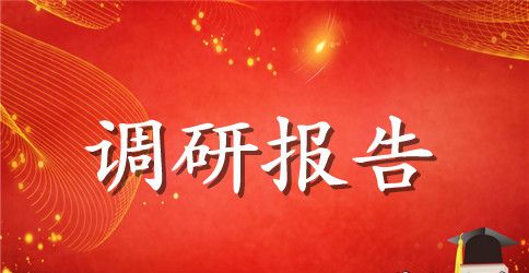 跨越式发展动力难题调研报告