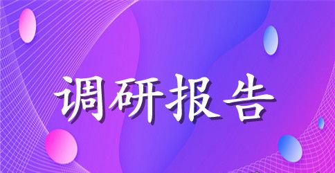 2023年“双诚信双承诺”工作进展情况调研报告
