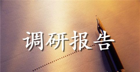 干部队伍从政行为调研报告