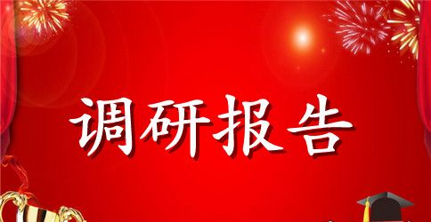 2023年农村妇女权益保障调研报告