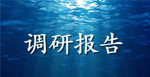 2023年关于我市民族工作情况的调研报告