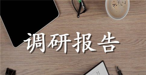 小学生调研报告