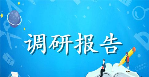 社会治安调研报告4篇