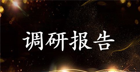 城管调研报告3篇