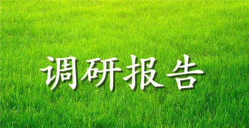 乡村游发展现状调研报告