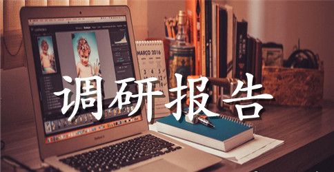 关于四种形态调研报告范文