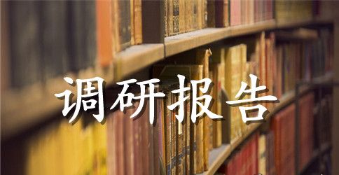 2023县委书记精准扶贫调研报告