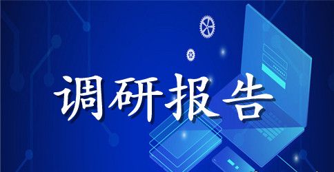 全面建设小康社会情况调研报告