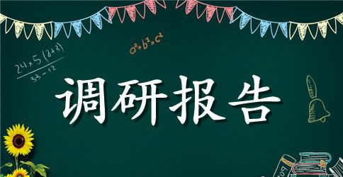 2023精准扶贫工作调研报告