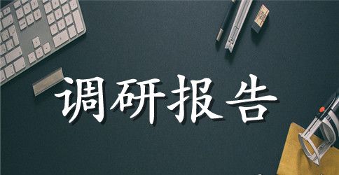 乡镇两学一做调研报告的范文