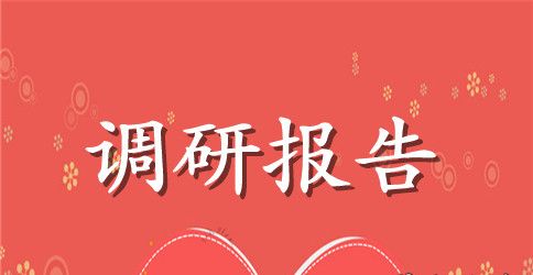 2023两学一做学习教育工作调研报告