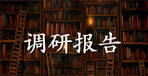 2023年驻村干部帮扶工作调研报告