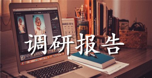 开展两学一做调研报告材料