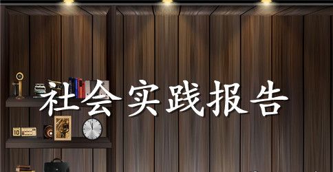 福利院寒假社会实践报告 寒假福利院的实践报告