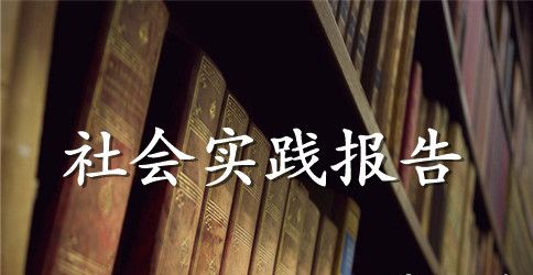 2023年大学生“交通安全”社会实践调查报告