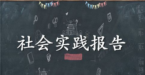 幼师社会实践报告范文3篇