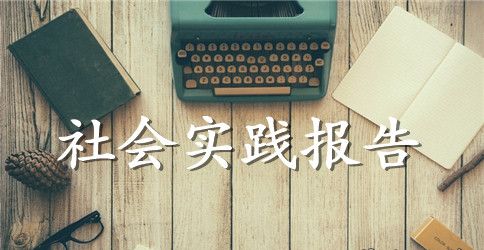 2023年大学生寒假三下乡社会实践报告范文