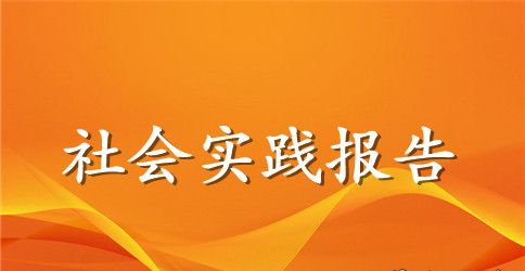 2023年大学生法院社会实践报告范文