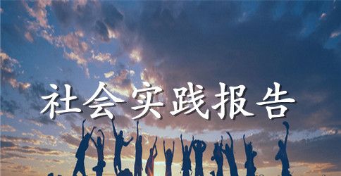 2023年大学生财务部社会实践调查报告范文