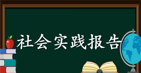 2023年大学生社会实践报告1000字
