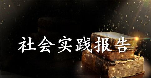 最新暑假社会实践报告范文