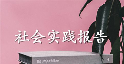 大学生暑期社会实践个人总结