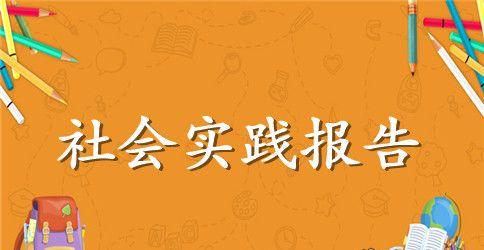 2023年大学生“农村医保”社会实践心得体会