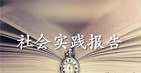 2023年大学生销售电脑社会实践报告范文