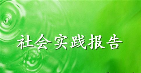 社会实践报告模板范文