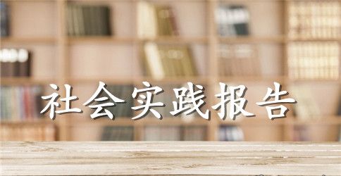 2023年大学生“三下乡”社会实践报告2500字