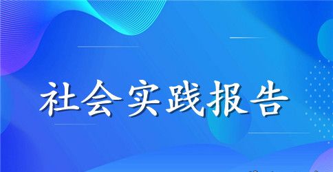 实践报告范文网