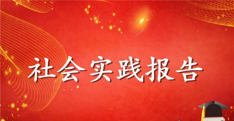 【精选】暑期实践报告锦集7篇