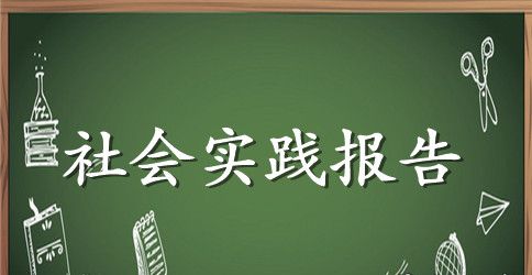 社会实践报告结构