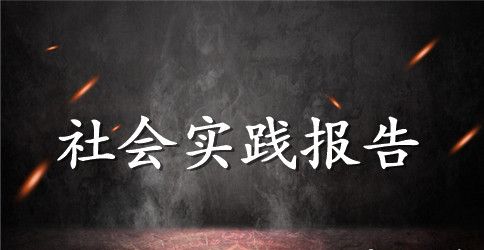 【实用】学生实践报告合集9篇